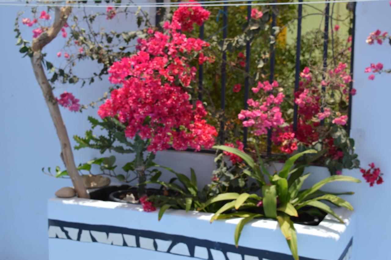 לינה וארוחת בוקר Palmeira Yacht Club Sal מראה חיצוני תמונה